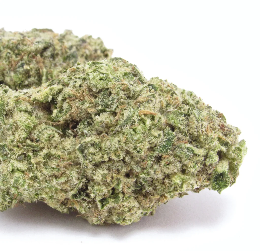 Jupiter Cafe | The Best Selling Cannabis Strain in Every Recreational State for February 2026