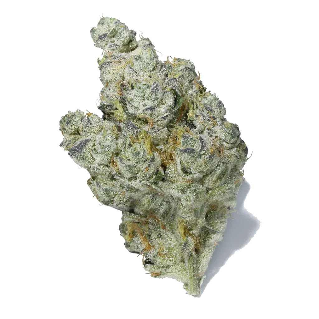 Jupiter Cafe | The Best Selling Cannabis Strain in Every Recreational State for February 2026