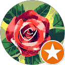 YN Reviews profile picture