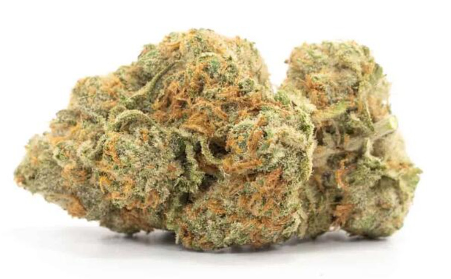 Jupiter Cafe | The 10 Most Popular Cannabis Strains Across the United States (as of March, 2026)