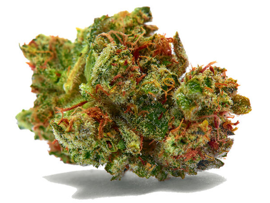 Jupiter Cafe | The 10 Most Popular Cannabis Strains Across the United States (as of March, 2026)