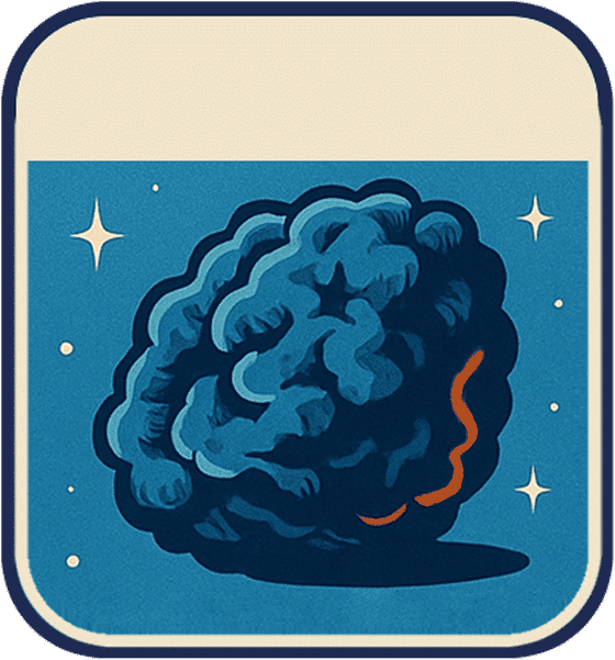 Jupiter Cafe Flowers